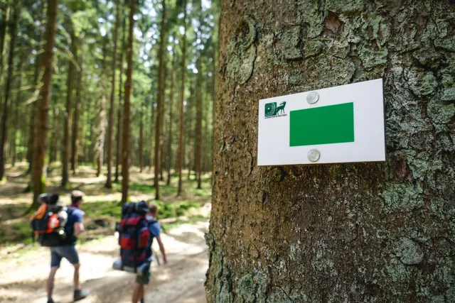 Aire de bivouac de Virée à Chêne