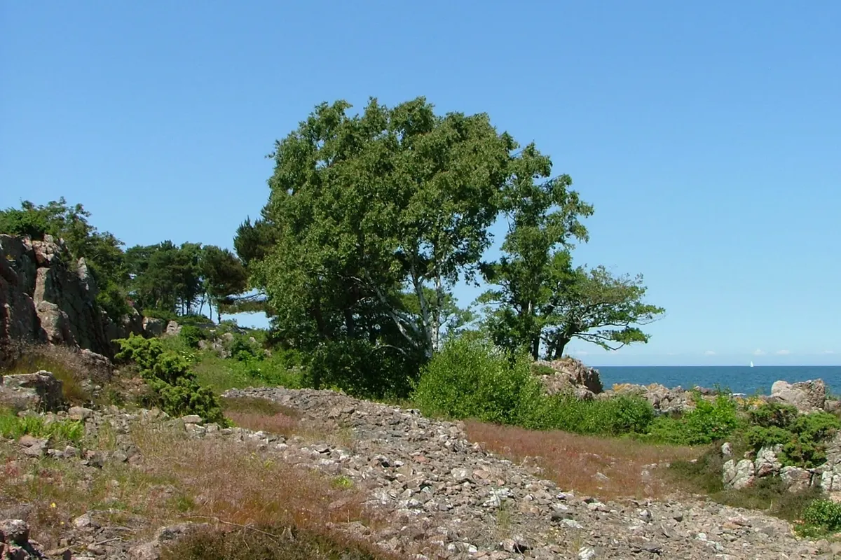 Sandkaas Familiecamping — foto 2