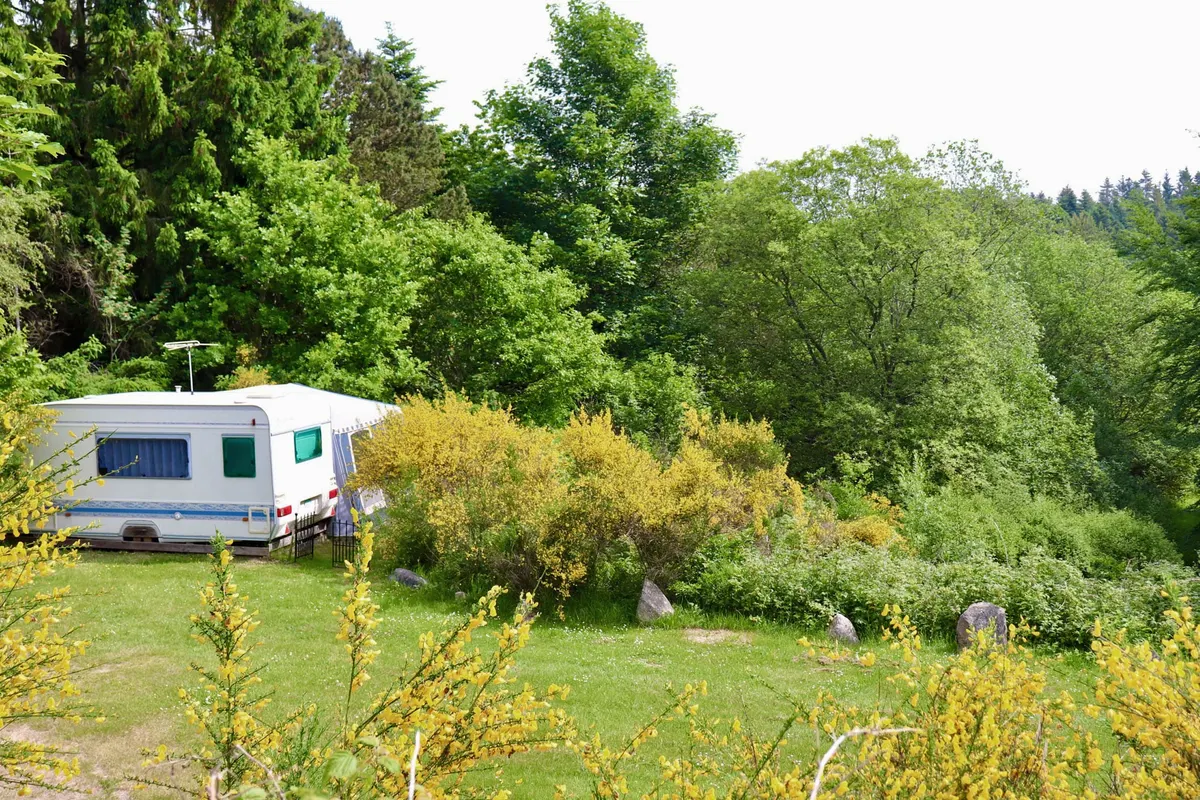 Tolne Camping — foto 2