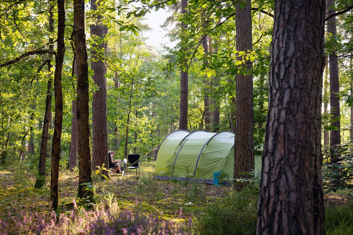 Camping Les Pins Onlycamp