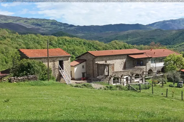 Azienda Agricola del Lupo