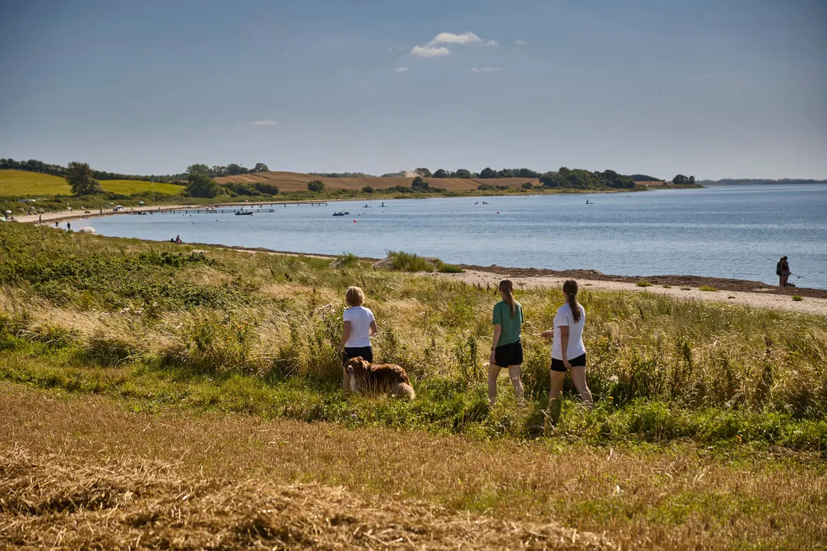 Feriepark Langeland -Emmerbølle Strand — foto 2