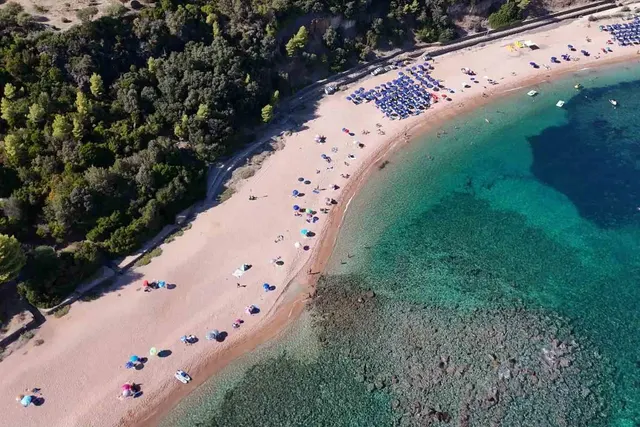 Palmasera
