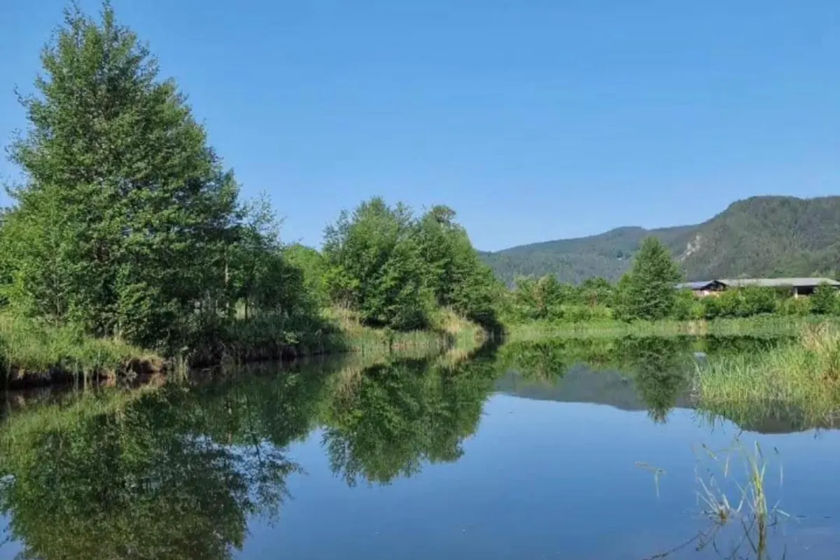 Camping Kohlhofmühl, foto 2