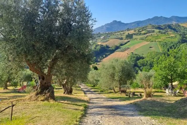 Mini camping Rocca di Sotto