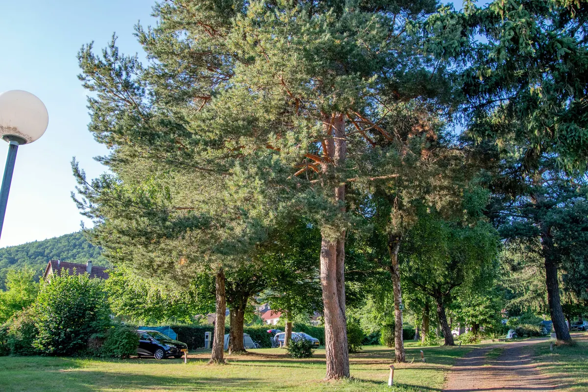 Camping du Haut-Koenigsbourg Onlycamp, foto 2