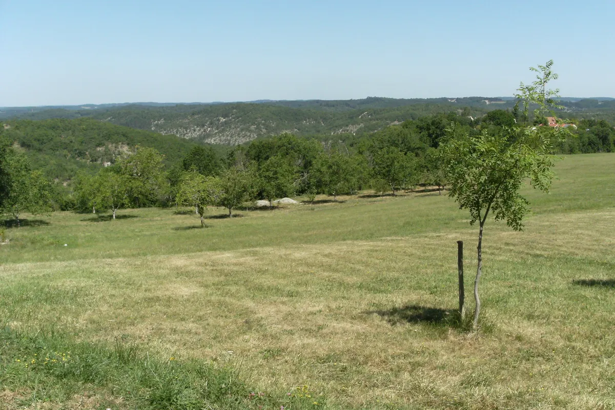 Camping Les Graves, foto 2