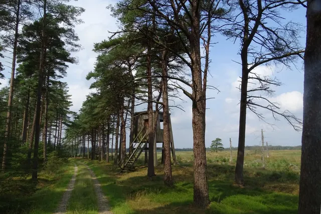 Trædesten Nøkkesø