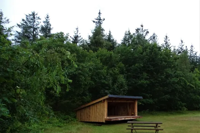 Ho Klitplantage - Overnatningsplads