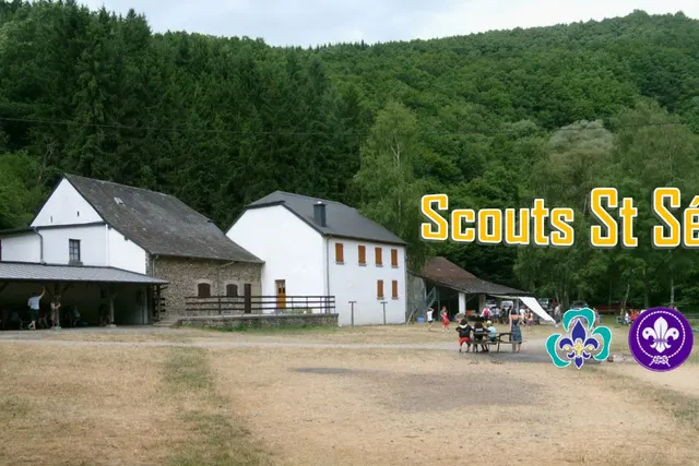 Camp 10 - Sangliers - Wild Boar - Wildschwein