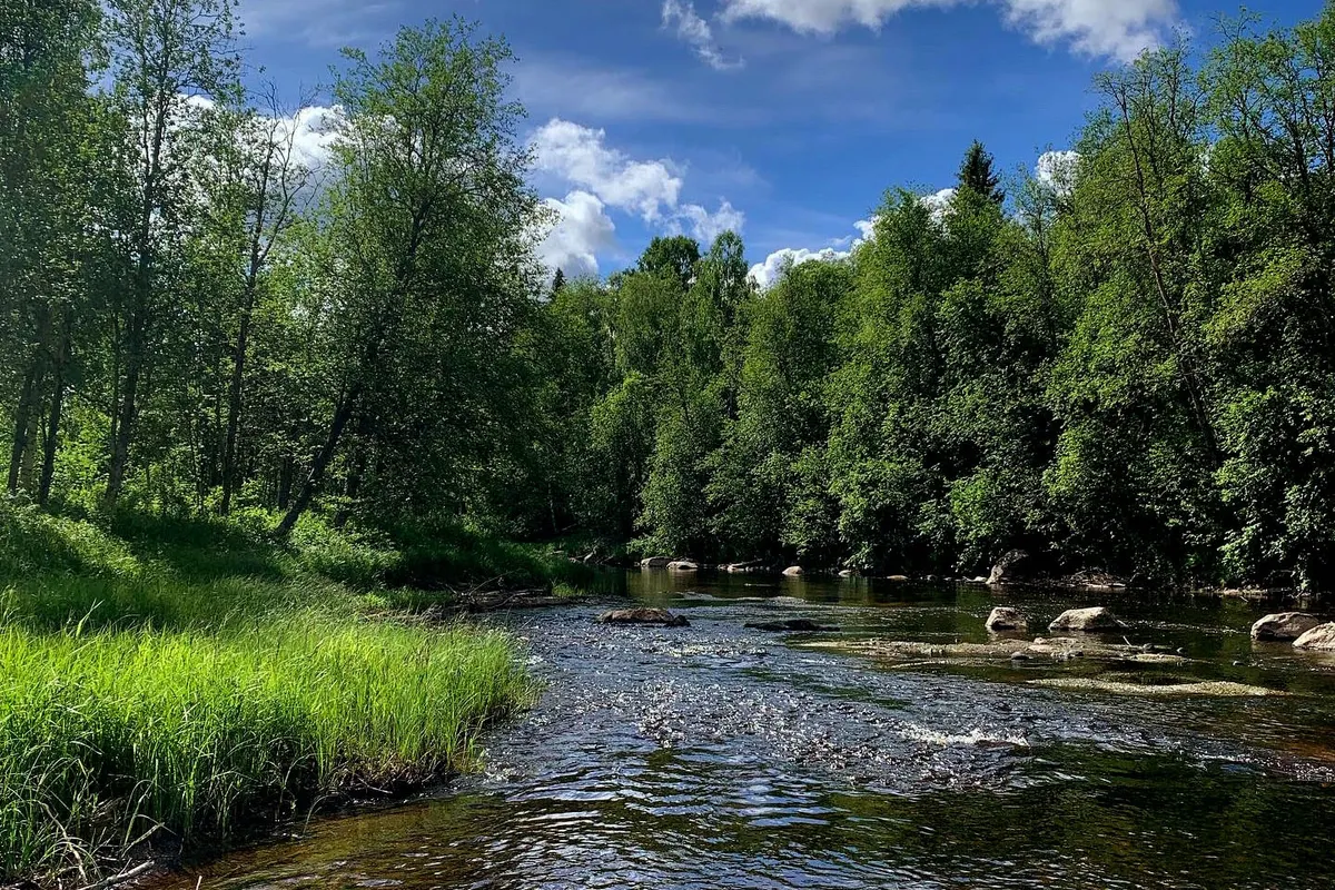 Björsarv Camping — foto 2