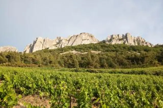 Les Florêts