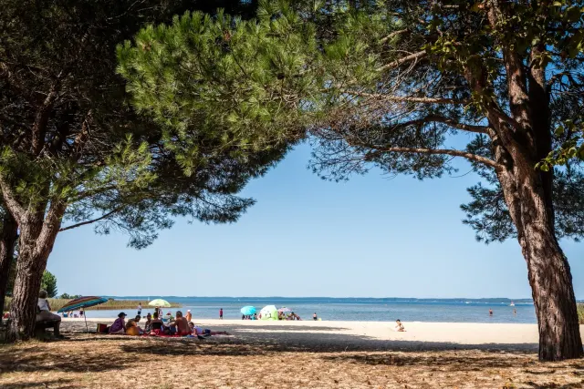Aire naturelle de camping Lafargue Duport