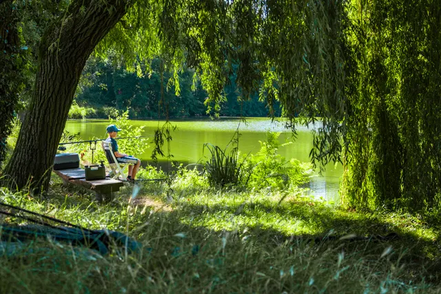 Domaine du Val de Saône