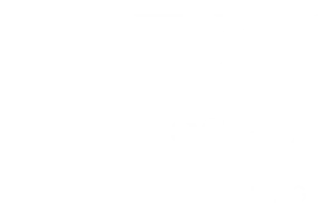 Les Deux Jumeaux
