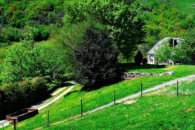 Aire Naturelle de Camping Le Bousquet