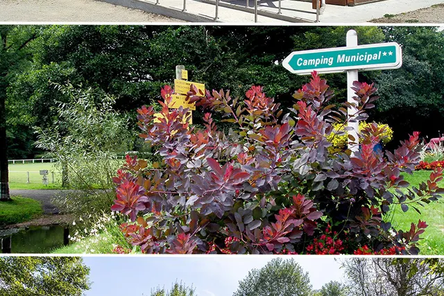 Camping municipal de Miremont