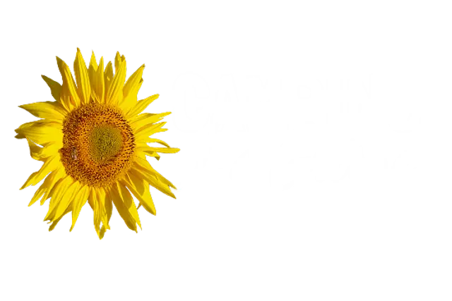 Camping La Grisse