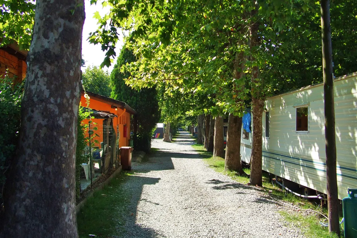 Camping Lido di Sesto — foto 2