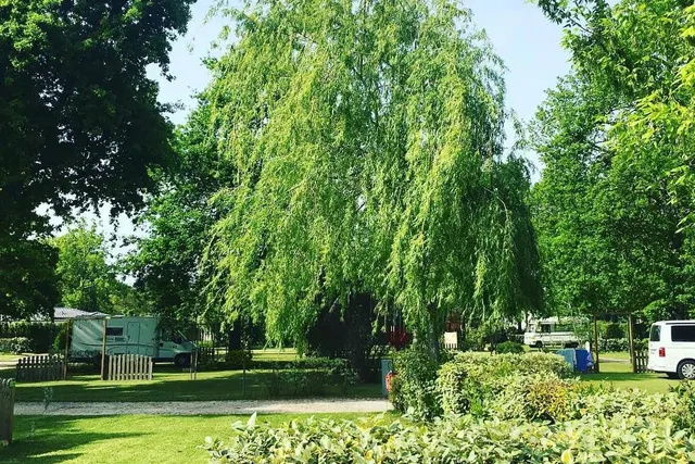 Camping La Cigale