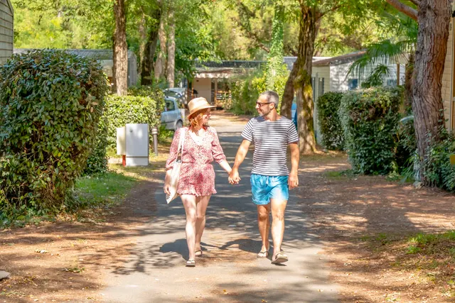 Camping des Fougères