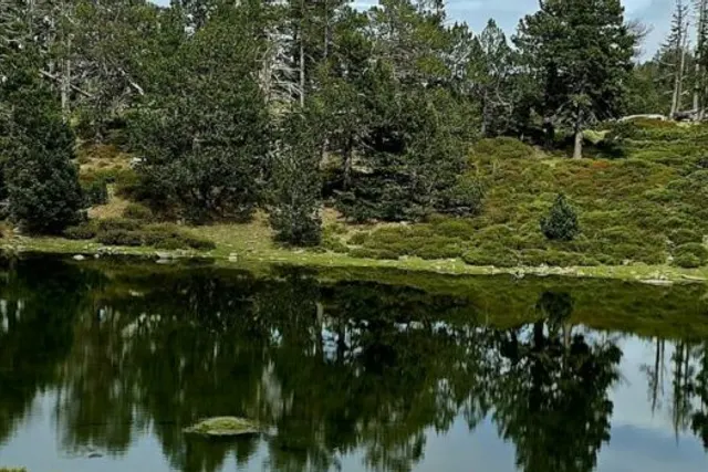 Le Colomer