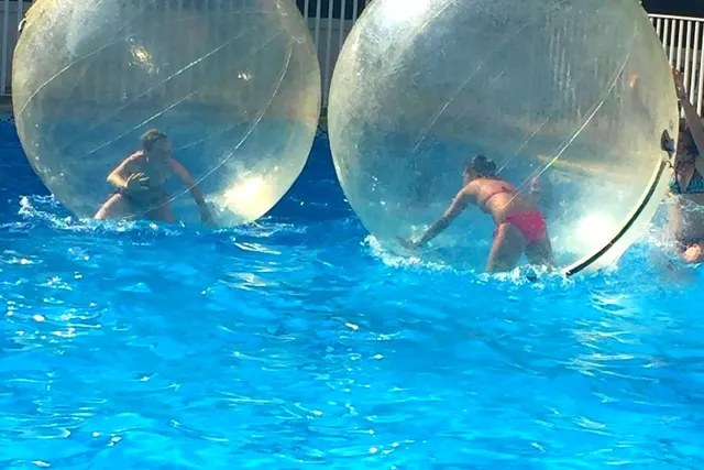 La Donadive