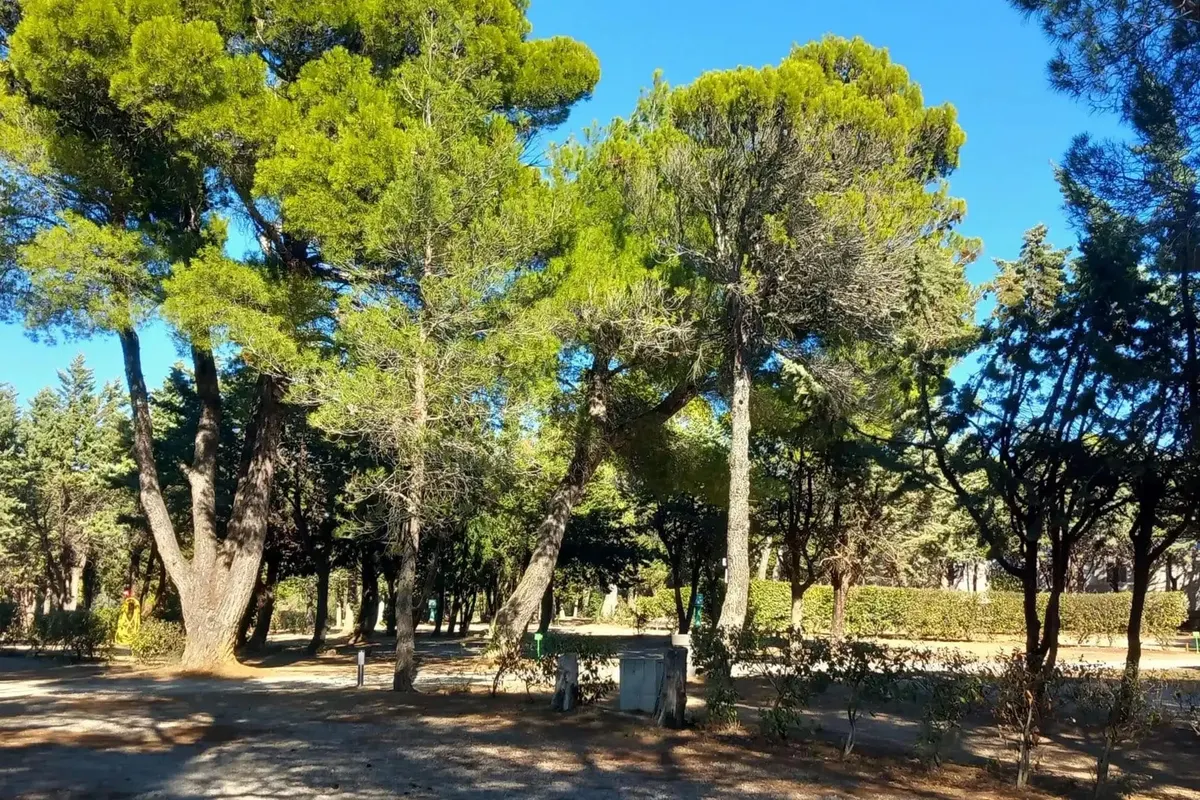 Camping Le Pinada