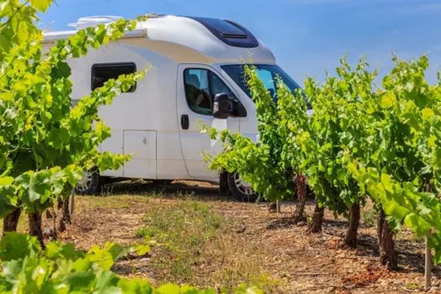 Domaine de la Roussille