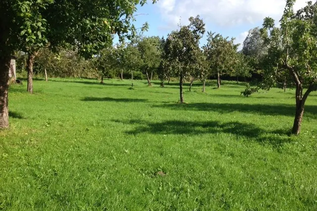 Trekkingplatz Drage
