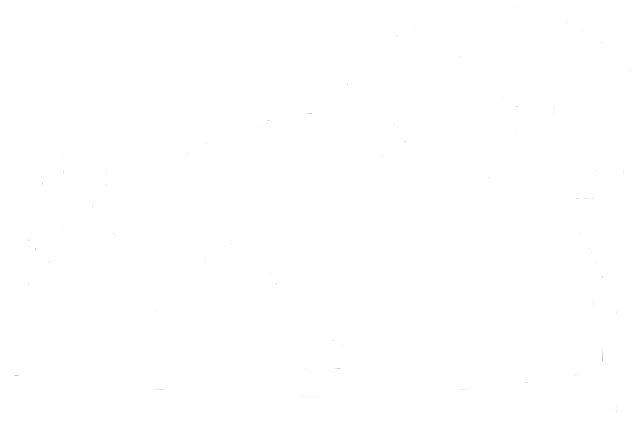 Naturcamping im Drömling