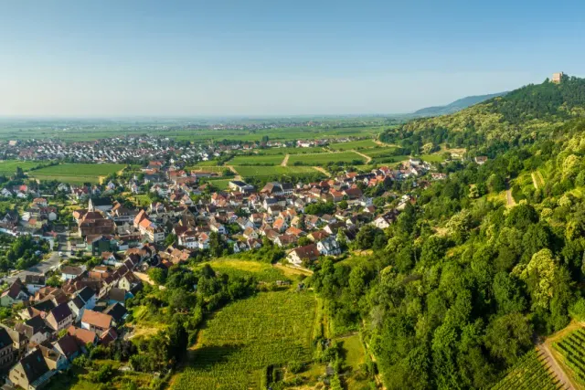Weingut Hans Abel Wohnmobilstellplatz