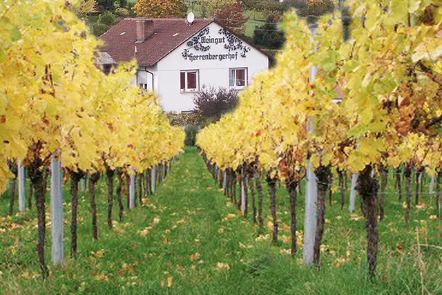 Wohnmobilstellplatz Weingut Herrenbergerhof