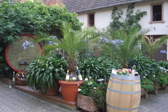 Wohnmobilstellplatz Weingut Seebach