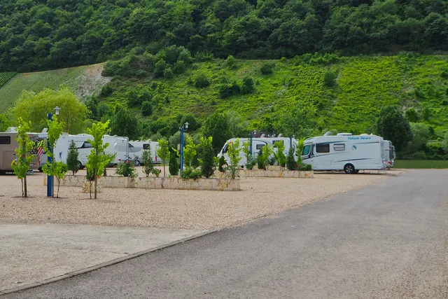 Wohnmobilstellplatz Marina Mittelmosel