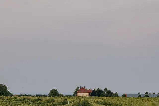 Wohnmobilstellplatz Weingut Villa Hochdörffer
