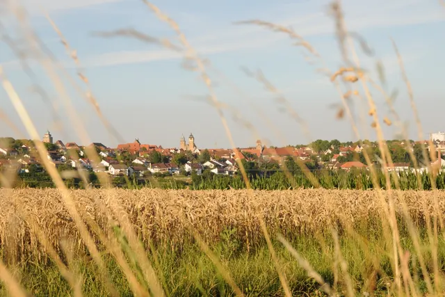 Festplatz/Unterriexinger Straße Markgröninger