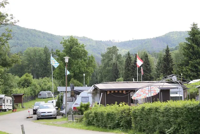 Die Wölfe vom Wolfstein