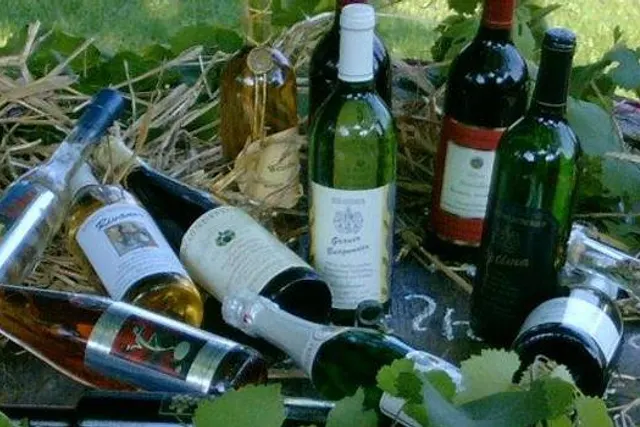 Weingut Seilheimerhof