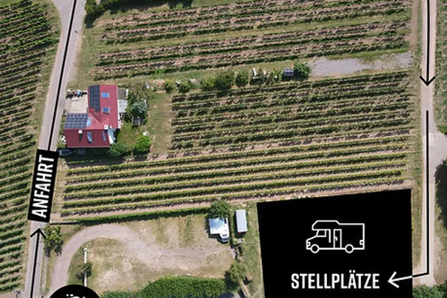 Wohnmobilstellplatz Weingut Disson