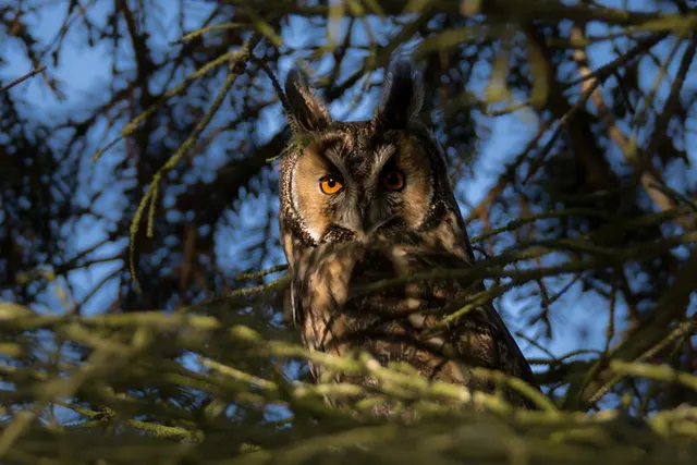 Wohnmobilstellplatz Schiffshebewerk Niederfinow