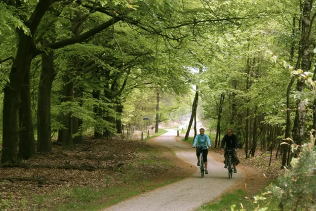 Martenshoek