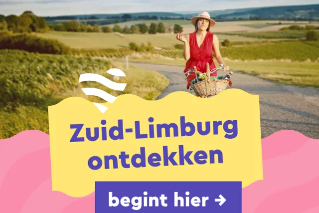 Gene Zijde