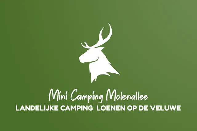 Minicamping Molenallee