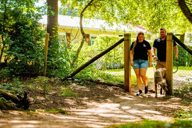 Vakantiepark De Luttenberg