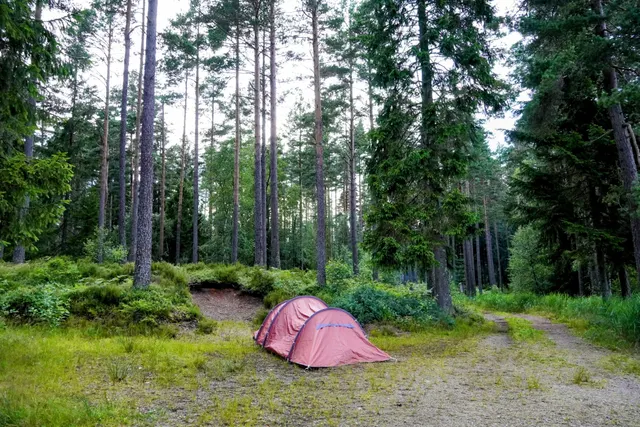 Malingsbo Camping