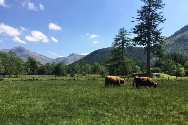Glen Nevis Caravan & Camping Park