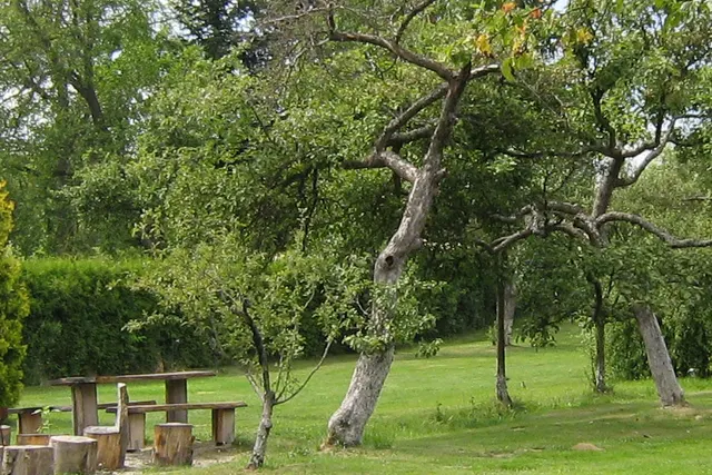 Pension & Camping Sokol
