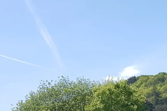Lucksall Caravan and Camping Park