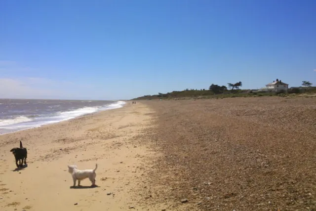 Beach View Holiday Park
